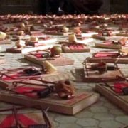 Des souris sous le sol: un aperçu des meilleures options pour se débarrasser des rongeurs détestés