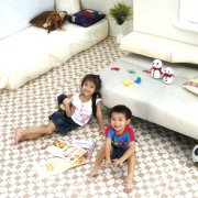 Faire le sol dans la pépinière: un aperçu comparatif des sols adaptés