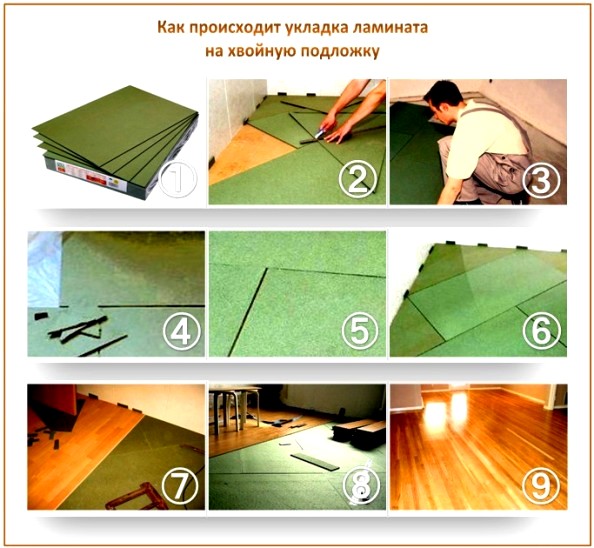 Sous-couche de conifères sous le stratifié Sous-couche de conifères sous le stratifié