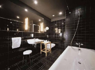 Carrelage pour la salle de bain - comment choisir Salle de bain noire