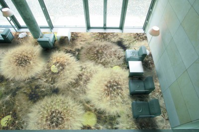 Image trop grande du plancher en vrac Grand dessin d'un plancher en vrac