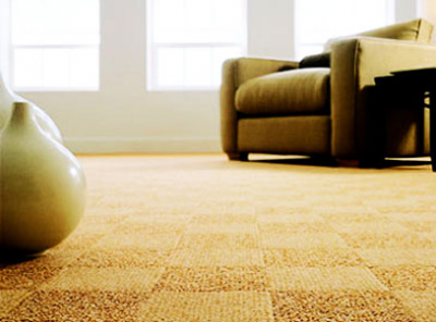 Tapis pour la maison: comment choisir Comment choisir un tapis