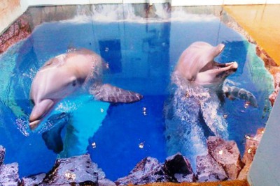 Planchers en vrac incolores - une révolution dans le design Revues de planchers en vrac en trois dimensions