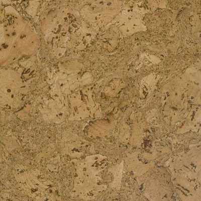 Le tube a une structure cellulaire Le liège est caractérisé par une structure cellulaire