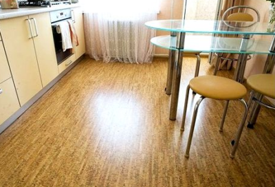 Les sols en liège n'ont pas peur des polluants domestiques et sont également hypoallergéniques - la poussière ne s'y accumule pas et le champignon ne vit pas Les sols en liège n'ont pas peur des polluants domestiques et sont également hypoallergéniques - la poussière ne s'y accumule pas et le champignon ne vit pas