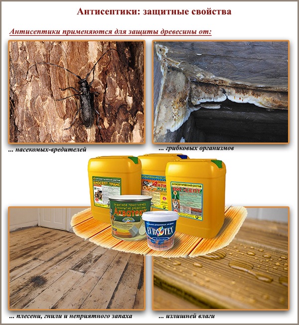 Antiseptiques: propriétés protectrices Antiseptiques: propriétés protectrices