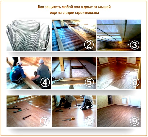 Filet de souris Filet de souris