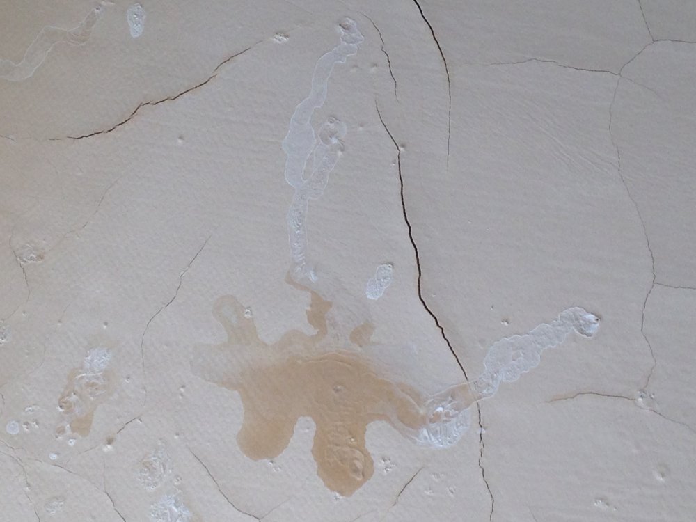 7 défauts populaires des planchers en vrac: causes et solutions