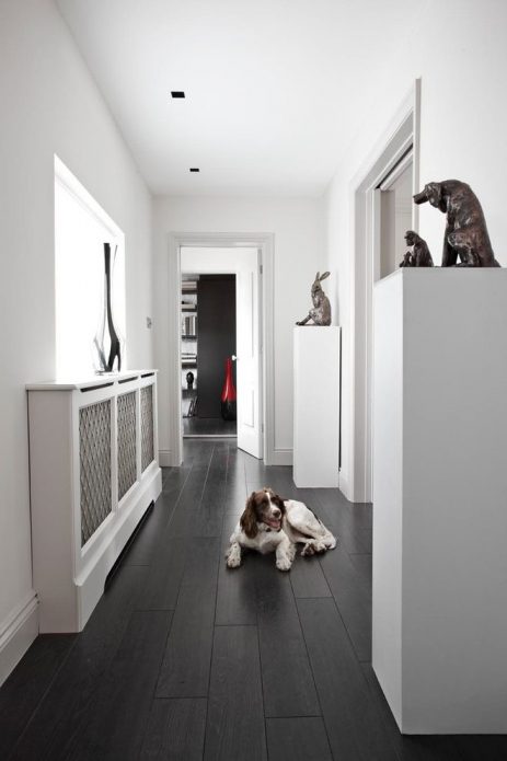 Hall d'entrée blanc étroit avec sol sombre