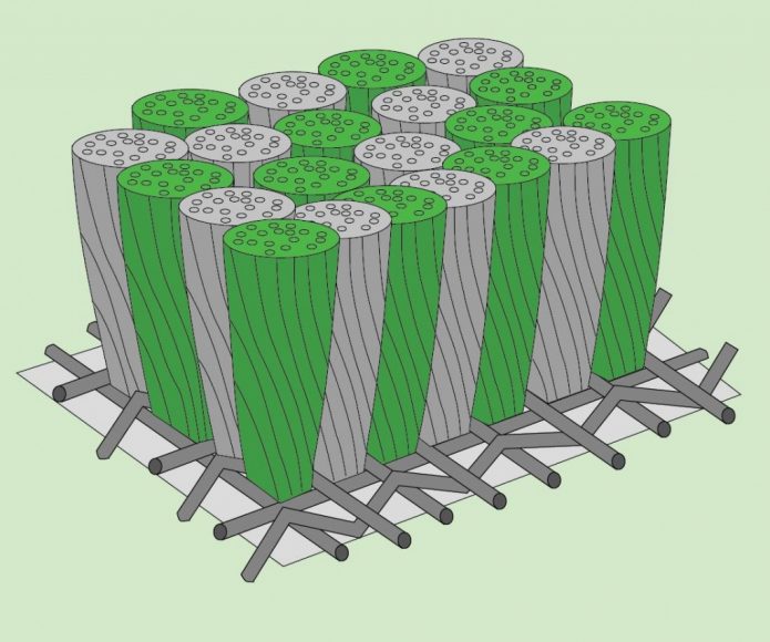 Représentation schématique de la structure du tapis