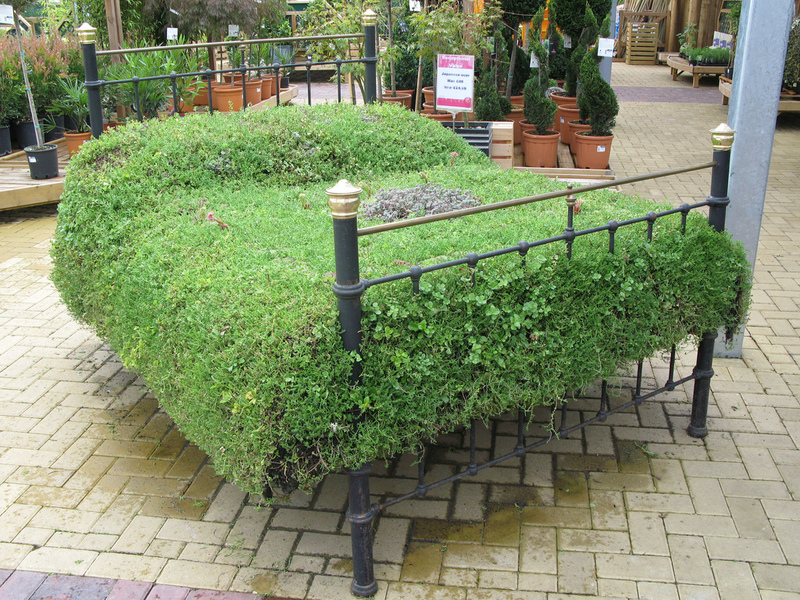 Que faire d'un vieux lit à la campagne: idées sur la photo