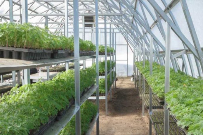 Cultiver des plantes dans une serre