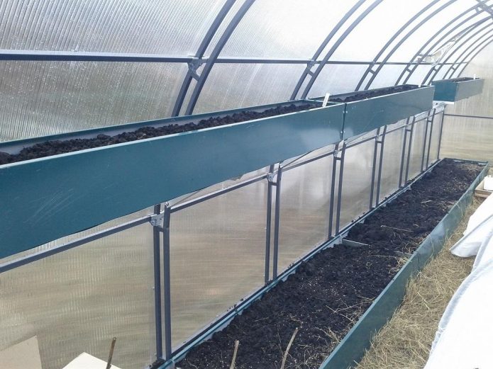 Placement des boîtes avec de la terre dans la serre