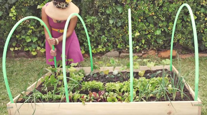 Arc pour la serre du cerceau