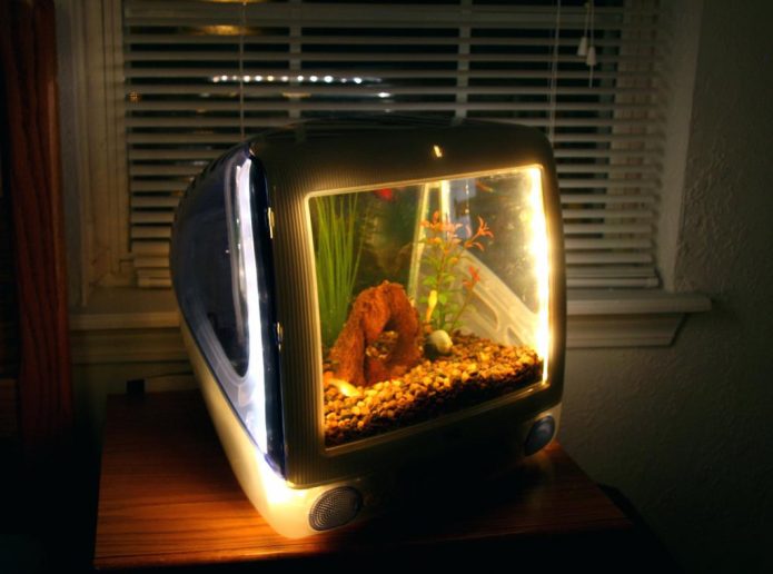 Aquarium d'une vieille télé