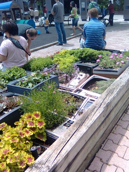Parterres de fleurs dans des boîtiers de télévision