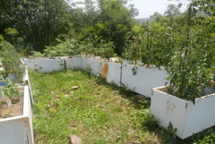 Lits de jardin dans de vieux réfrigérateurs