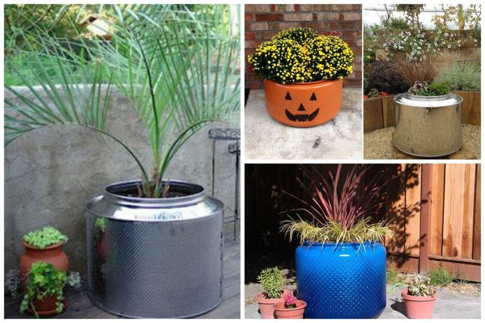 Idées pour les parterres de fleurs des tambours de machine à laver