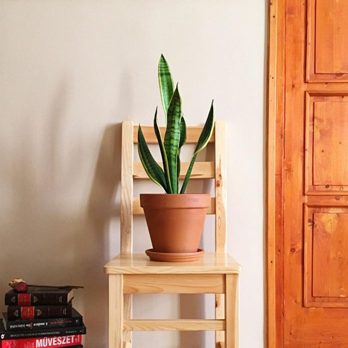 Un vieux support de fleur de chaise