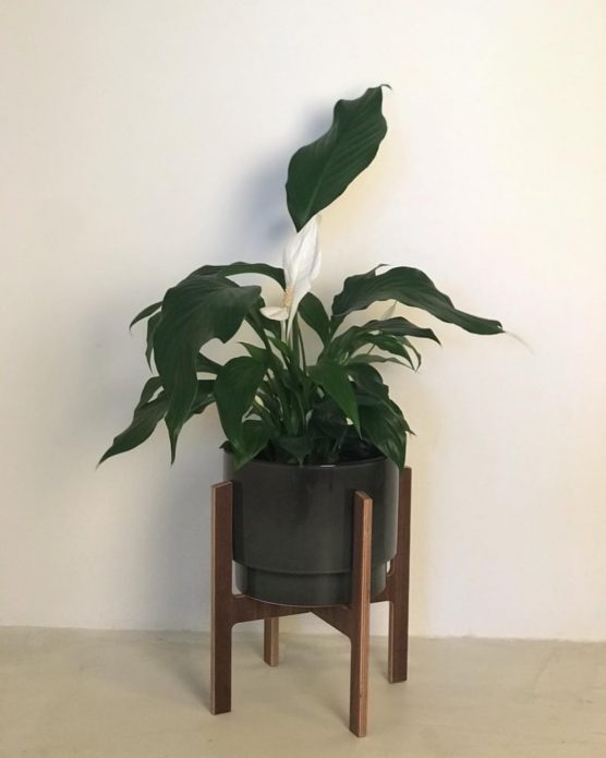 Support à fleurs en bois