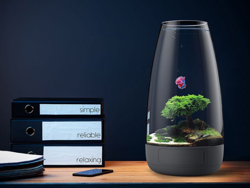 20 meilleures idées pour placer un aquarium dans un appartement: où mettre du poisson