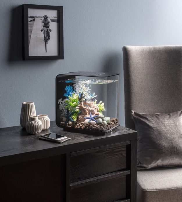 Aquarium dans l'appartement