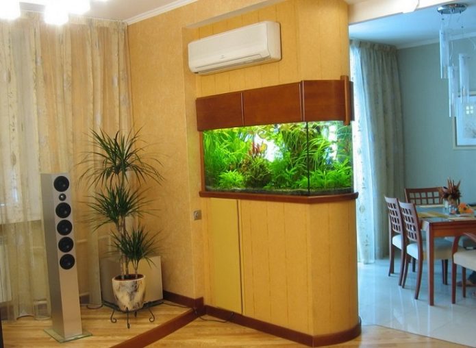 Aquarium dans l'appartement