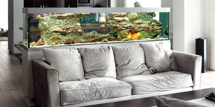 Aquarium dans l'appartement