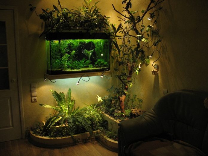 Aquarium dans l'appartement