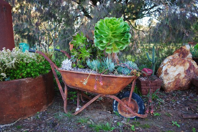 Voiture de jardin sur un parterre de fleurs colorées