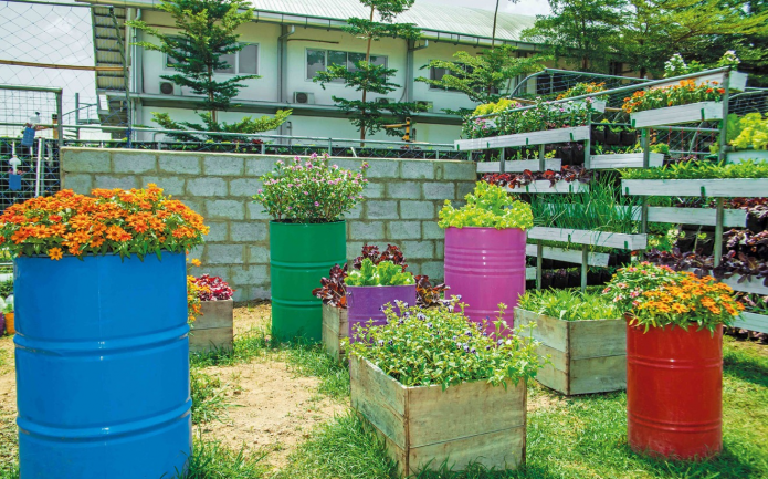 Petit jardin en fût