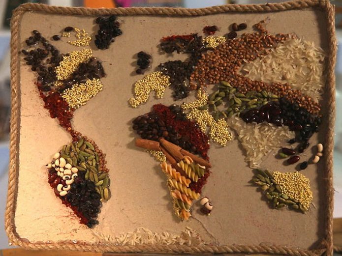 Spectaculaire panel de céréales et d'épices