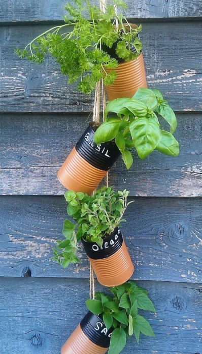 Arrangement floral spectaculaire de fleurs en pots
