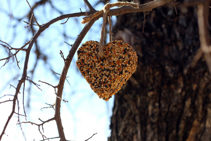 Mangeoire pour les oiseaux
