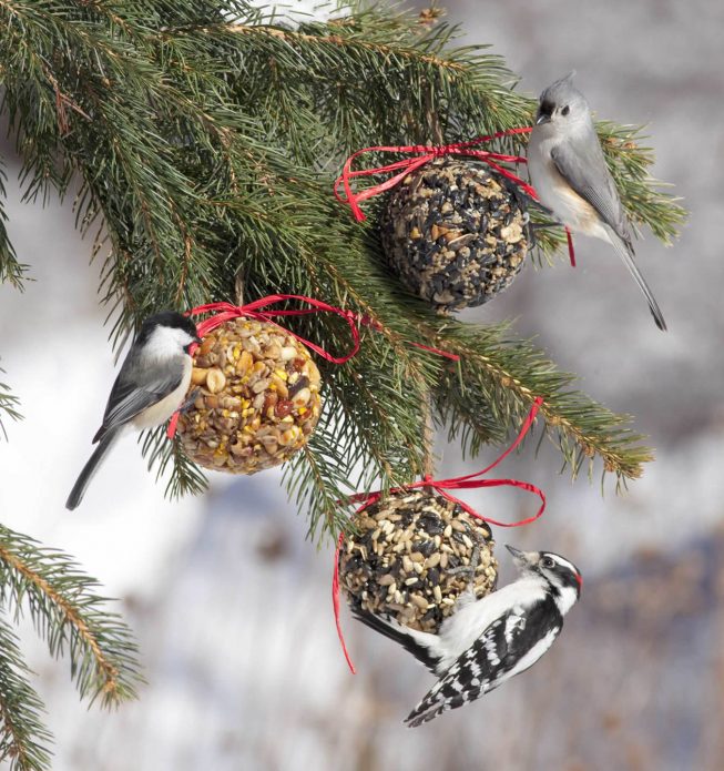 Jouets d'arbre de Noël comestibles