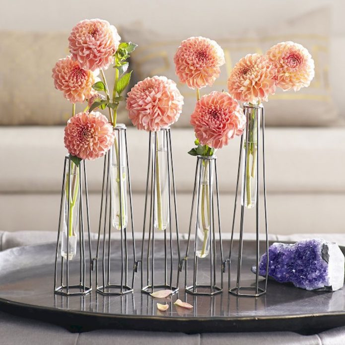 Vases originaux de tubes à essai