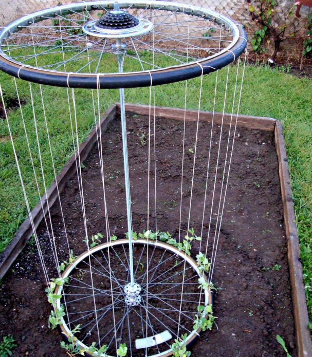 Lit de pois à deux roues