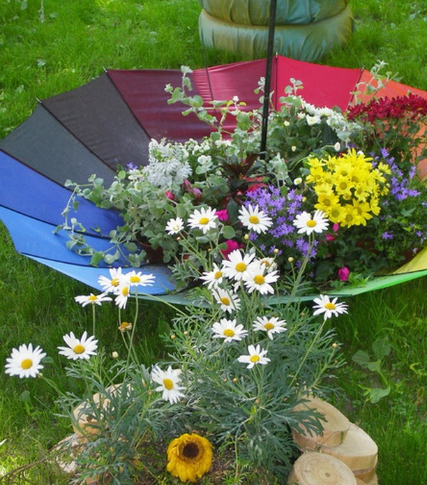 Parterre de fleurs colorées d'un parapluie