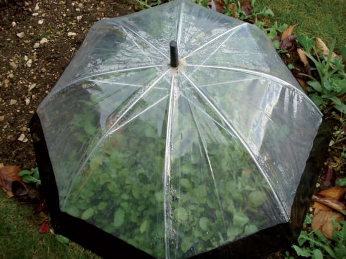 Serre parapluie