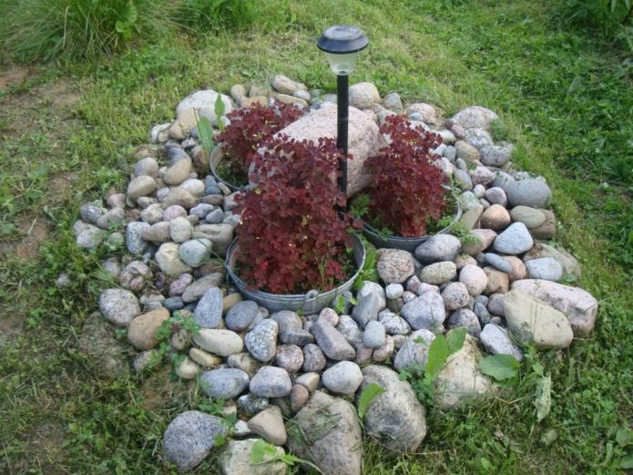 Parterre de fleurs décoré de pierres