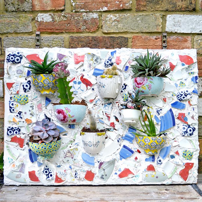 Beau lit à récipients pour plantes succulentes