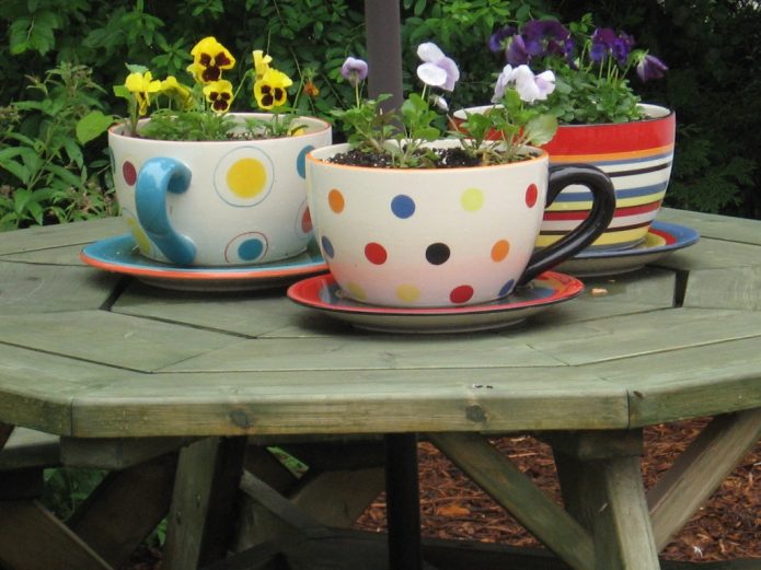 Pots pour violettes de tasses