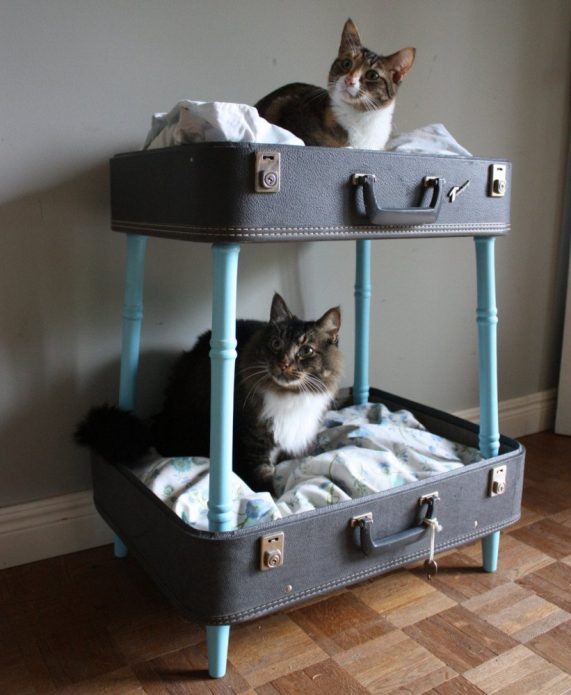 Places de couchage de valises pour deux chats