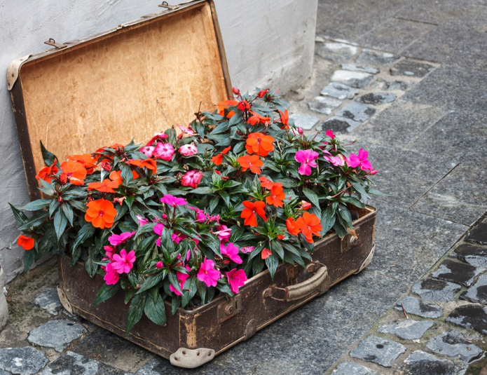 Parterre lumineux dans une vieille valise