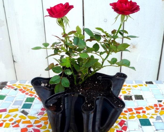 Assiette pot de fleur