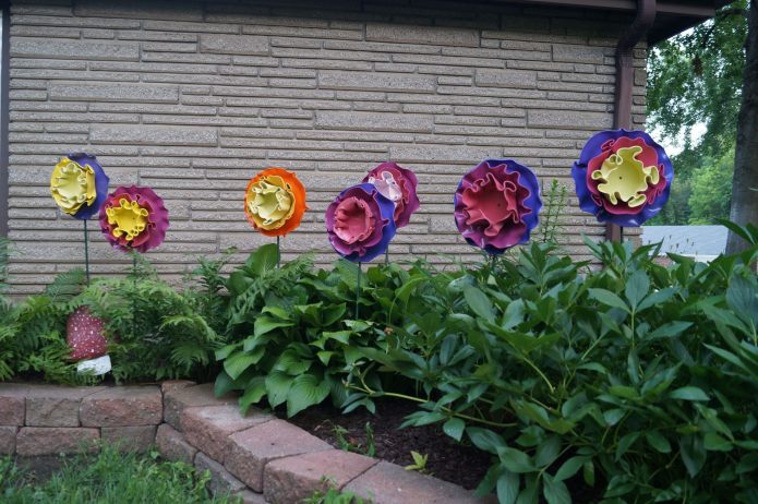 Fleurs de disques sur un lit de campagne