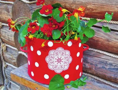 La deuxième jeunesse des vieux ustensiles de cuisine: ce que vous pouvez faire de vos propres mains (photo)