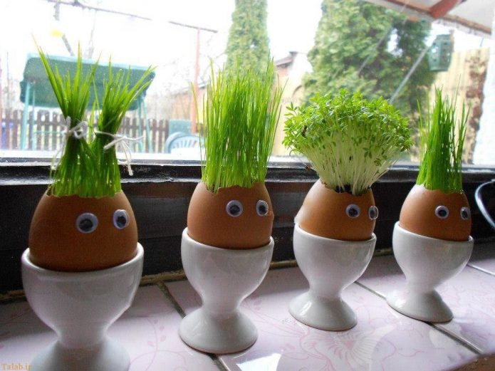 Mini jardin sur le balcon