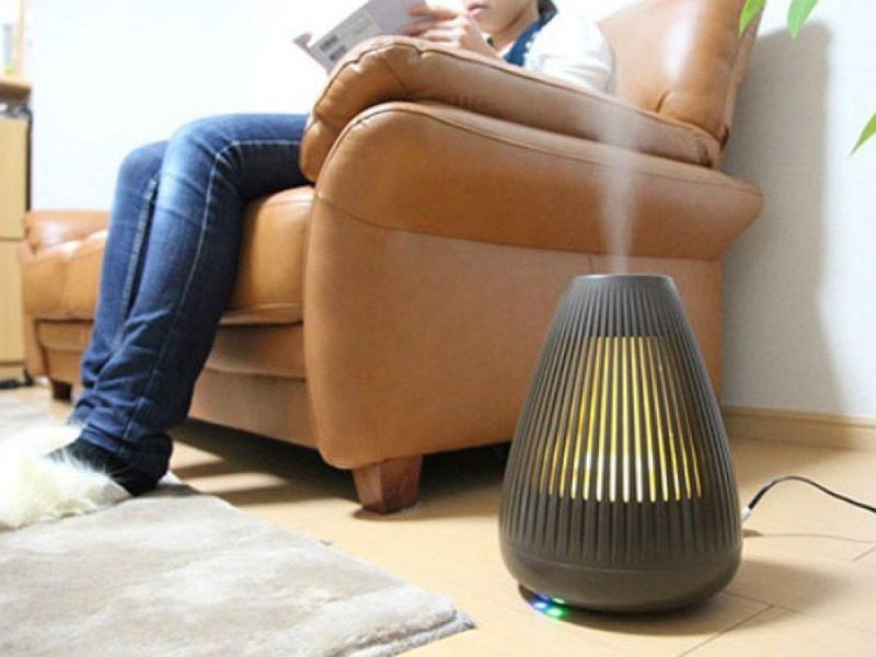 7 idées simples pour humidifier un appartement